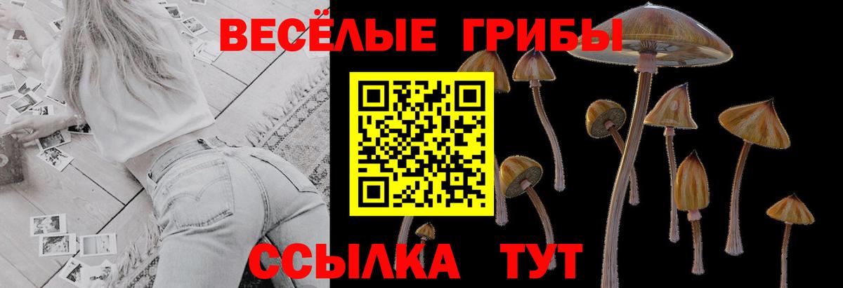 Псилоцибиновые грибы MAGIC MUSHROOMS Кропоткин